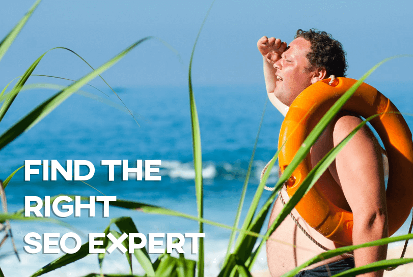 Find the Right SEO Expert Banner